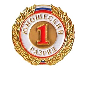 Значок 1 разряда юношеский