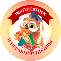 004 сова нш значек