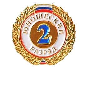 Значок 2 разряда юношеский