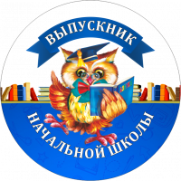 002 сова нш значек