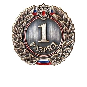 Значок 1 разряда взрослый