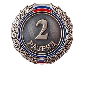 Значок 2 разряда взрослый