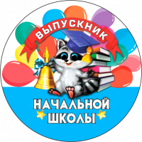 006 енот нш значек