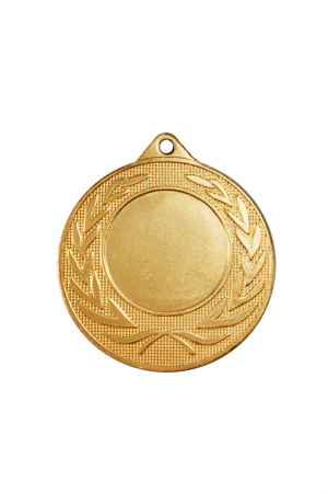 458 медаль золото