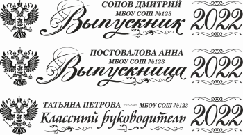009 Лента выпускнику именная сатиновая