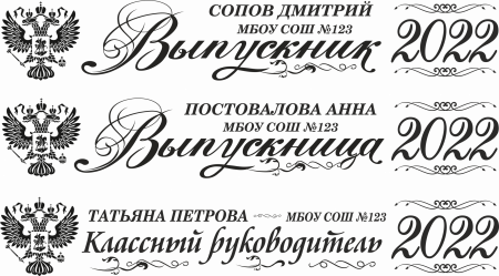 009 Лента выпускнику именная сатиновая
