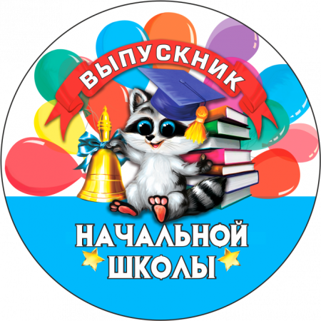 006 енот нш значек