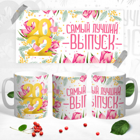 13 Кружка выпускник